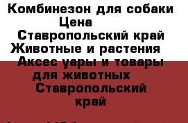 Комбинезон для собаки › Цена ­ 360 - Ставропольский край Животные и растения » Аксесcуары и товары для животных   . Ставропольский край